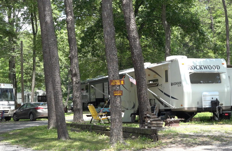 RV park at Yogi at Shangri-La - Jellystone Park.