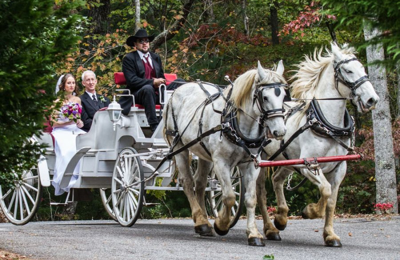 Wagon ride at Forrest Hills Resort.