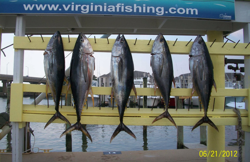 Virginia Beach Fishing Center near Best Western PLUS Oceanfront Virginia Beach.