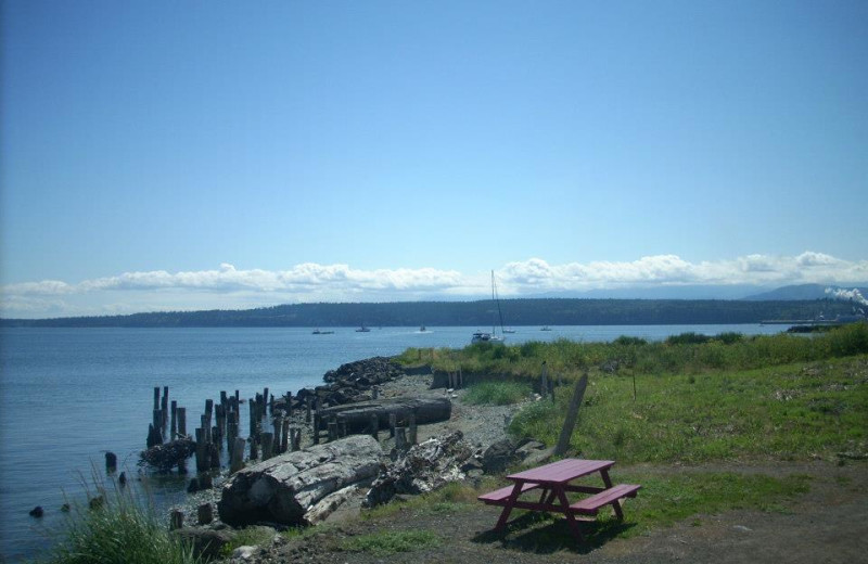 Coastline at Tides Inn.