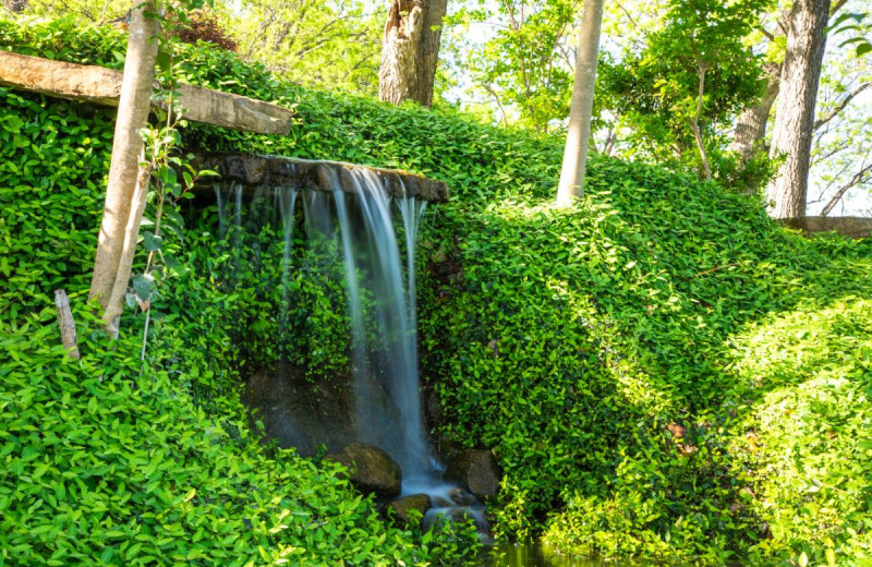 Waterfall at Log Country Cove.