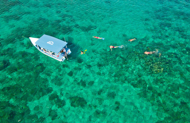 Snorkeling at Bluefields Bay Villas.