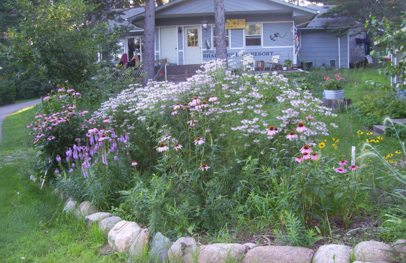 Garden at Shady Hollow Resort and Campground.