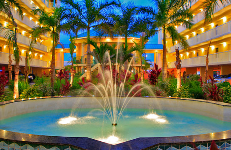 Tropical courtyard at Sunset Vistas.