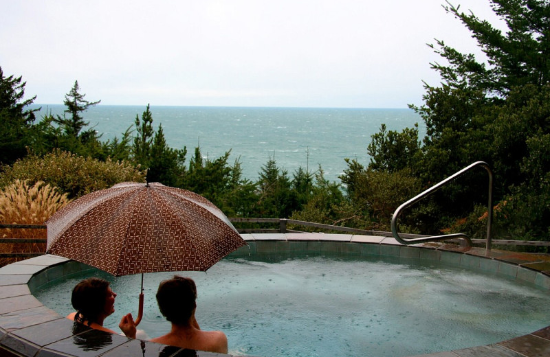 Hot tub at WildSpring Guest Habitat.