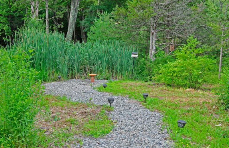 Garden path at Moondance Ridge Bed & Breakfast.