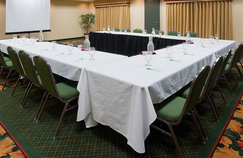 Meetings at Holiday Inn Minneapolis NW Elk River & Wild Woods Waterpark.