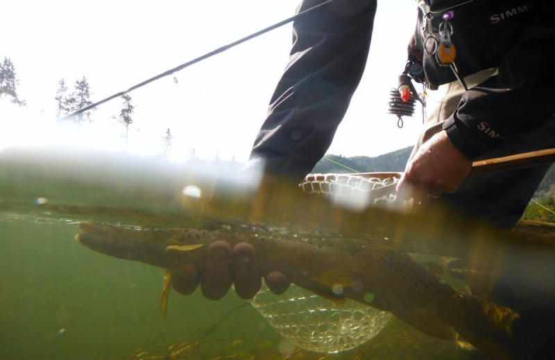 Fishing at The Drift Lodge.