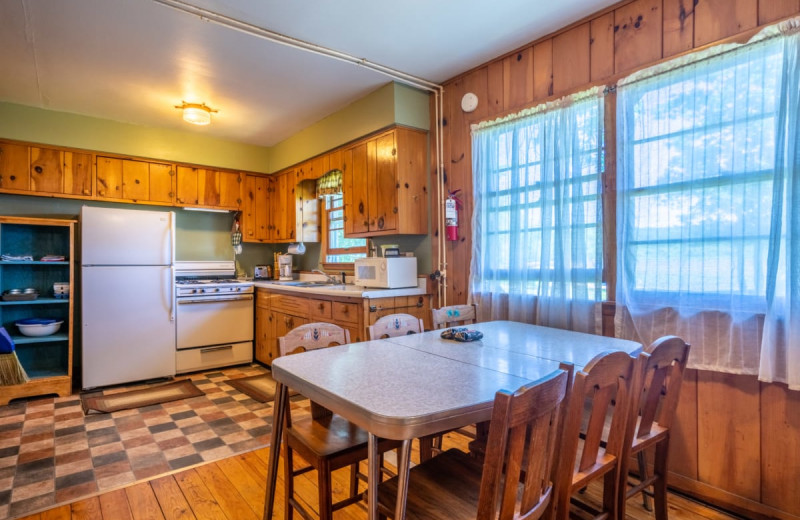 Cabin kitchen at Rising Eagle Resort.