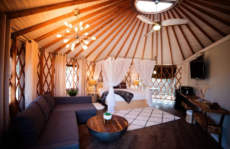 Yurt interior at Escalante Yurts.