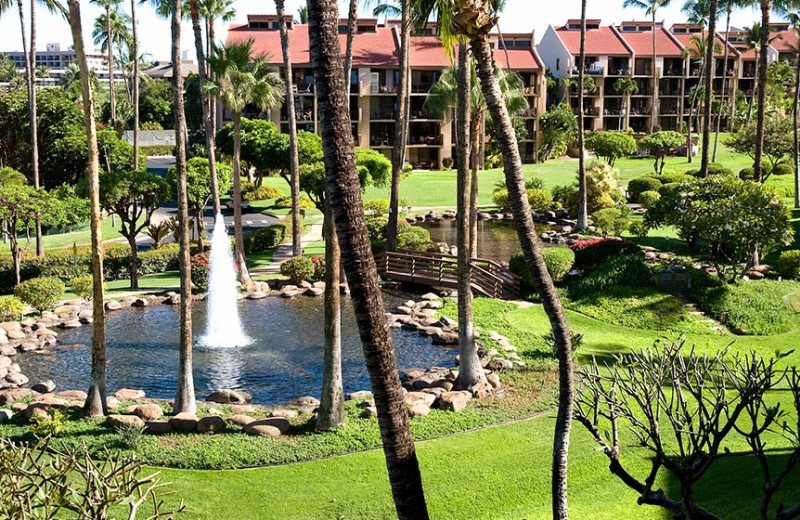 Exterior at Kamole Sands.