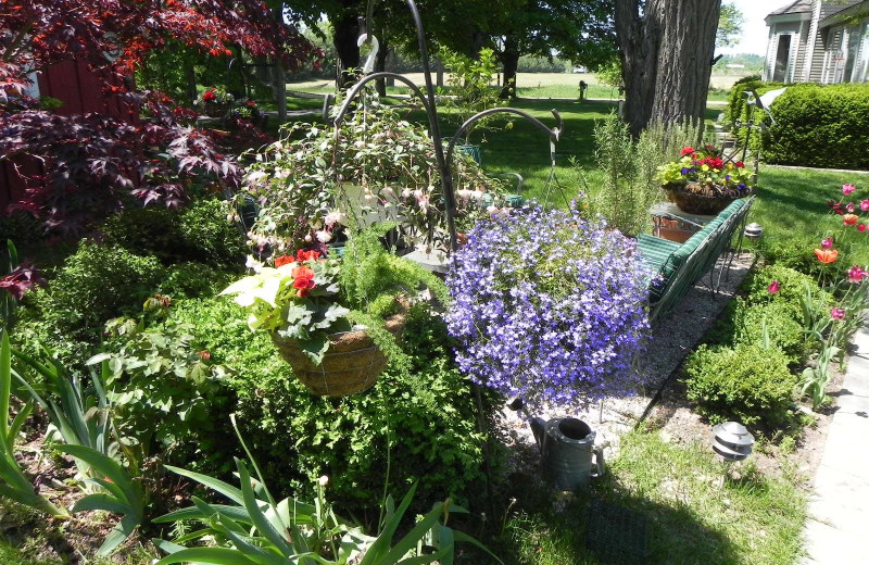 Garden at Sleeping Bear Bed & Breakfast.