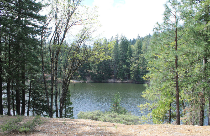 Lake view at Mount Shasta Resort.