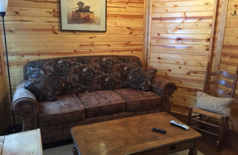 Cabin living room at Blackduck Lodge & Resort.