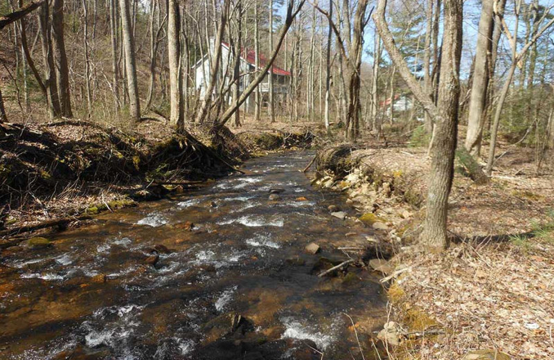 Stream at Cabins at Highland Falls.