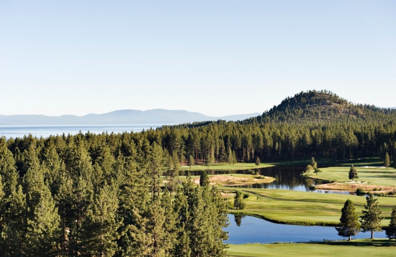 Golf near Americana Village.