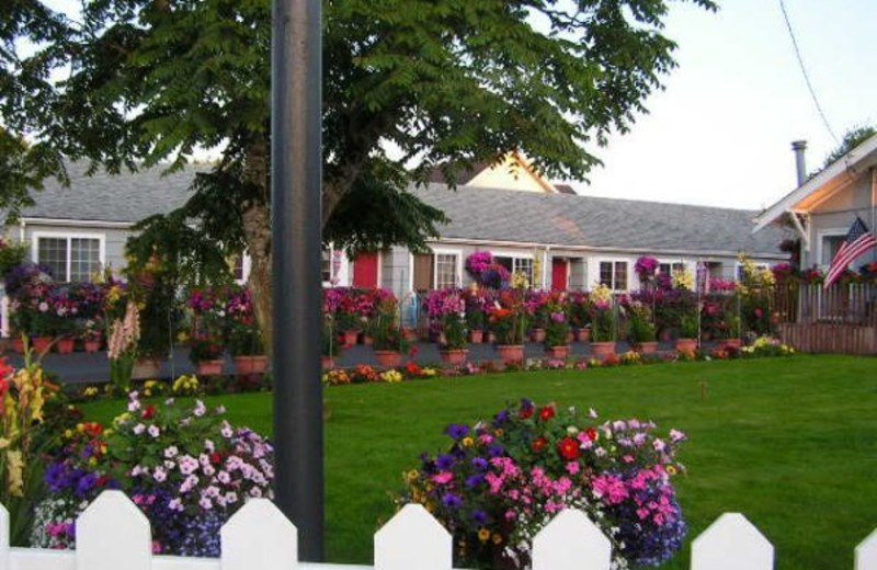 Exterior view of Weiss' Paradise Suites.