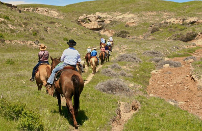 Horseback riding at Colorado Cattle Company Ranch.