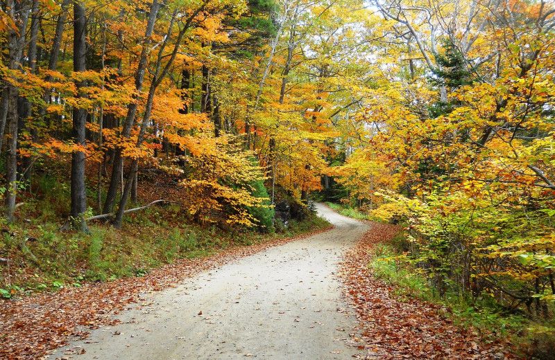 Fall colors at Cedar Crest Inn.