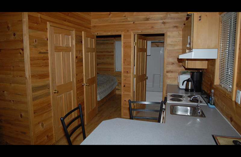 Cabin interior at Sourdough Lodge.