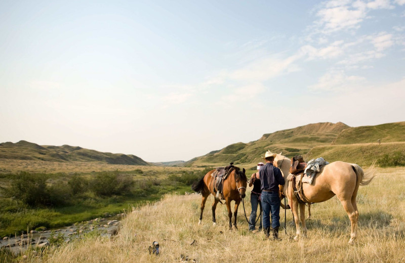 Horseback riding at The Wilderness Way Adventure Resort.