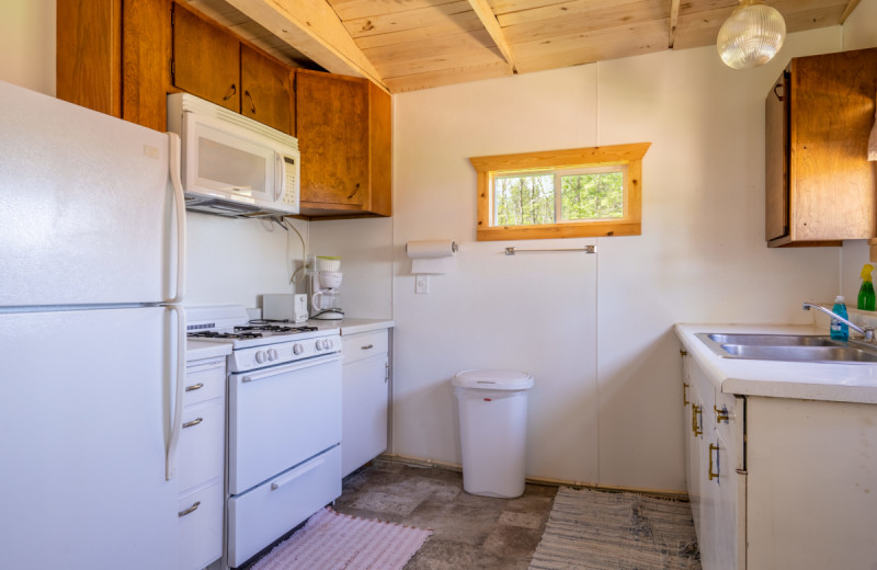 Cabin kitchen at Rising Eagle Resort.