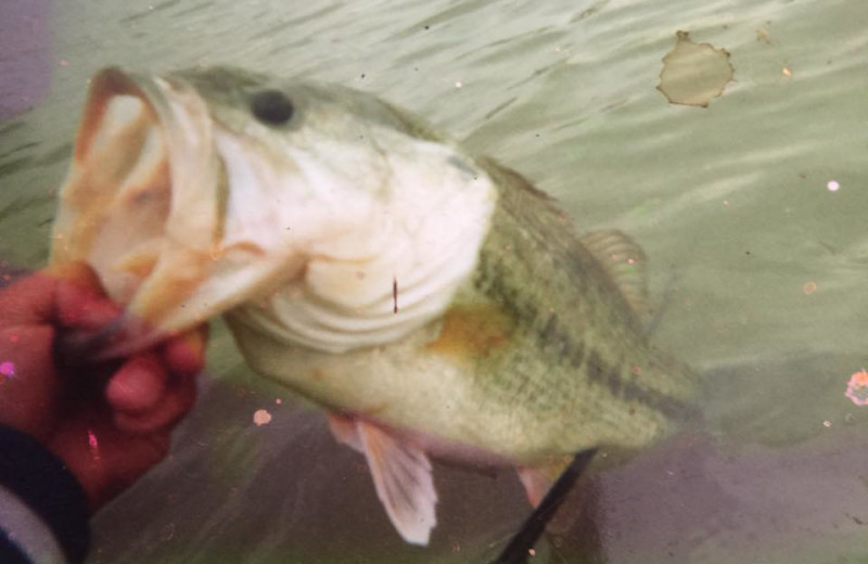 Fishing at Fredericksburg Ranch.