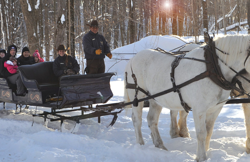 Sleigh ride at Rocking Horse Ranch Resort.