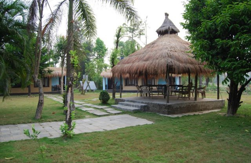 Exterior view of Jungle Lagoon Resort and Safari Lodge.