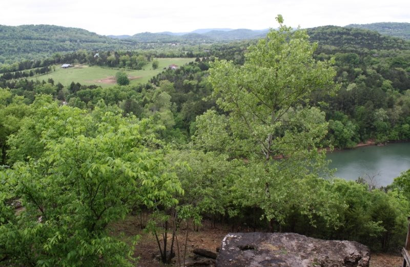 View from Arkansas White River Cabins.