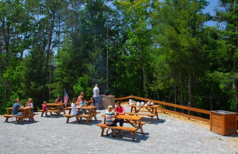 Picnic area at Accommodations by Parkside Resort.