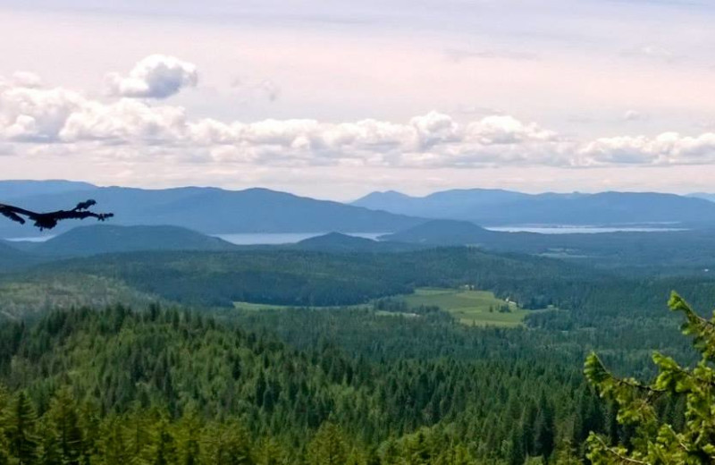 Mountain view at Western Pleasure Guest Ranch.