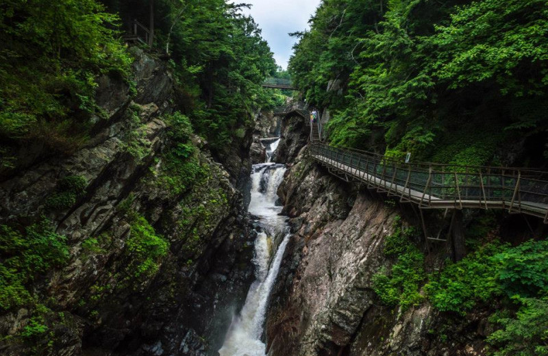 Scenic hikes at Northwoods Inn.