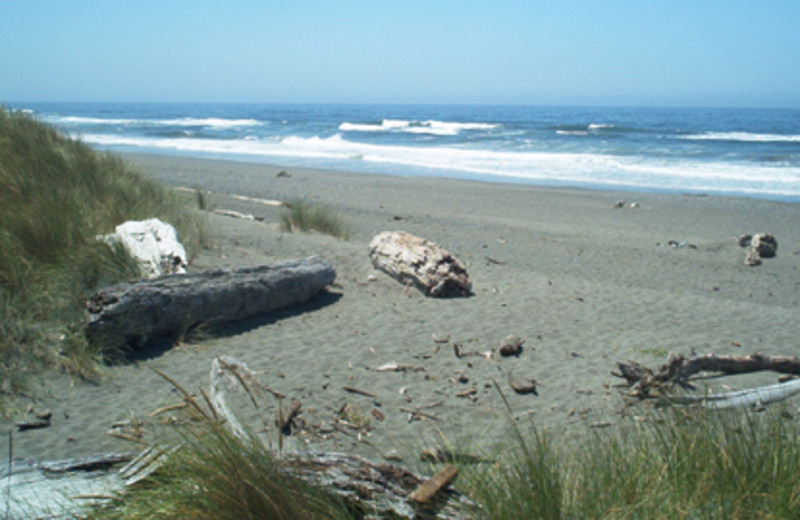 Shore View at Inn of the Beachcomber