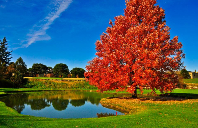 Golf course at Sawmill Creek Resort.