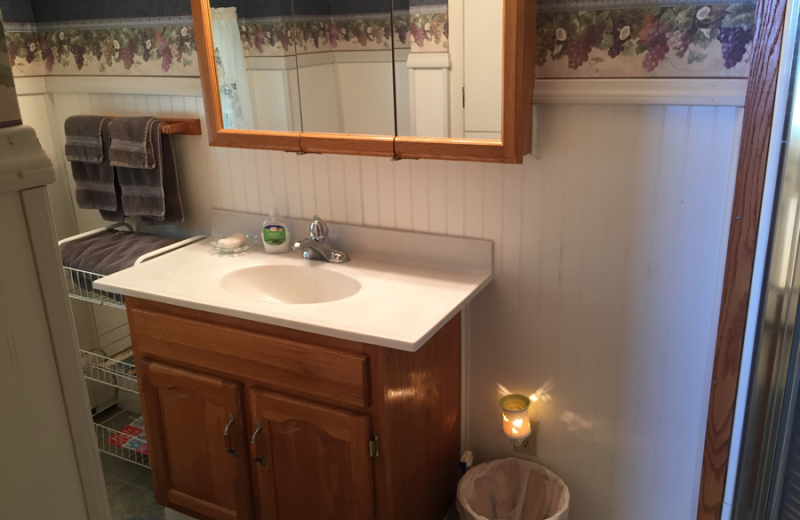 Guest bathroom t Vineyard Bed & Breakfast.