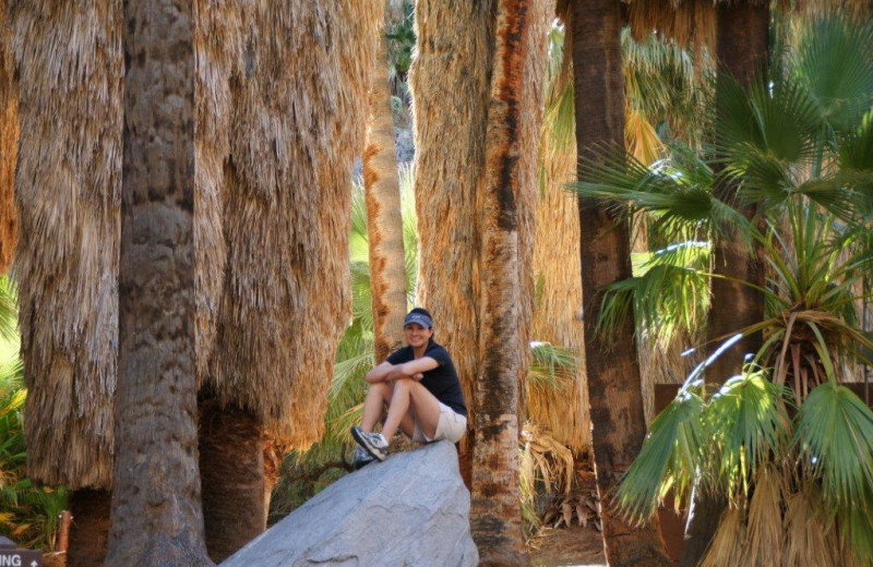 Hiking near Palm Mountain Resort & Spa.