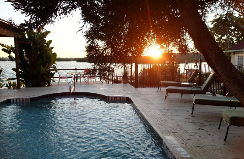 Pool at Turtle Beach Resort.