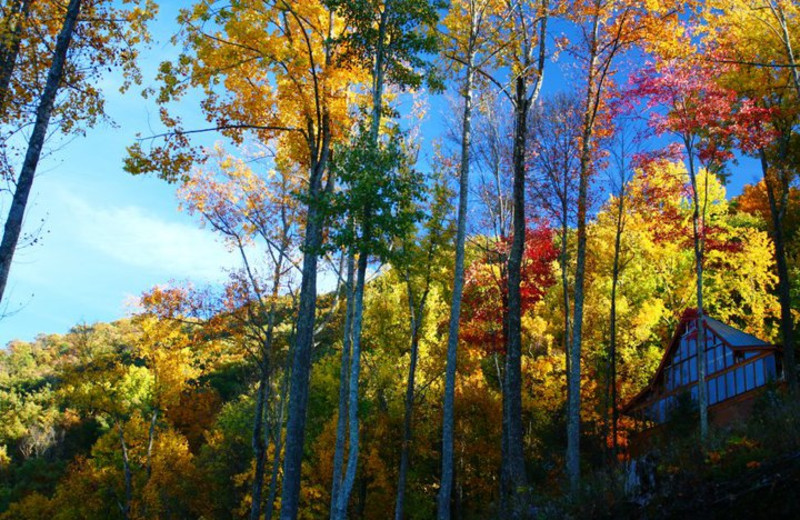 The Lodge At Brother S Cove Sevierville Tn Resort Reviews