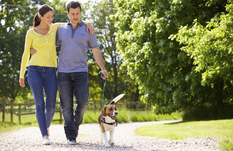 Small pets welcome at Cottage Grove Inn.