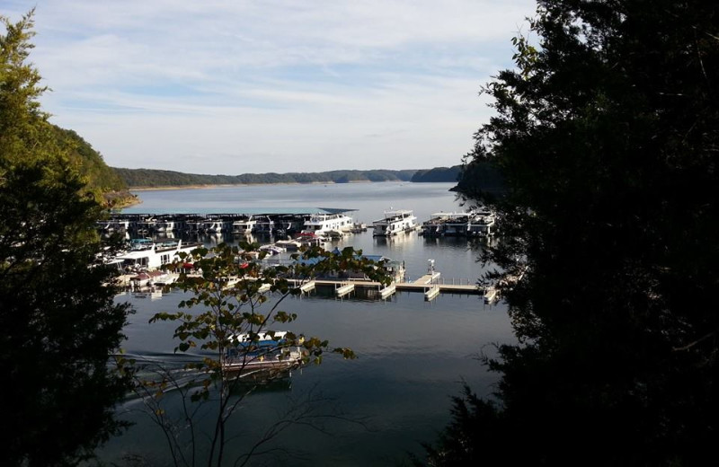 Exterior view of Jamestown Resort and Marina. 