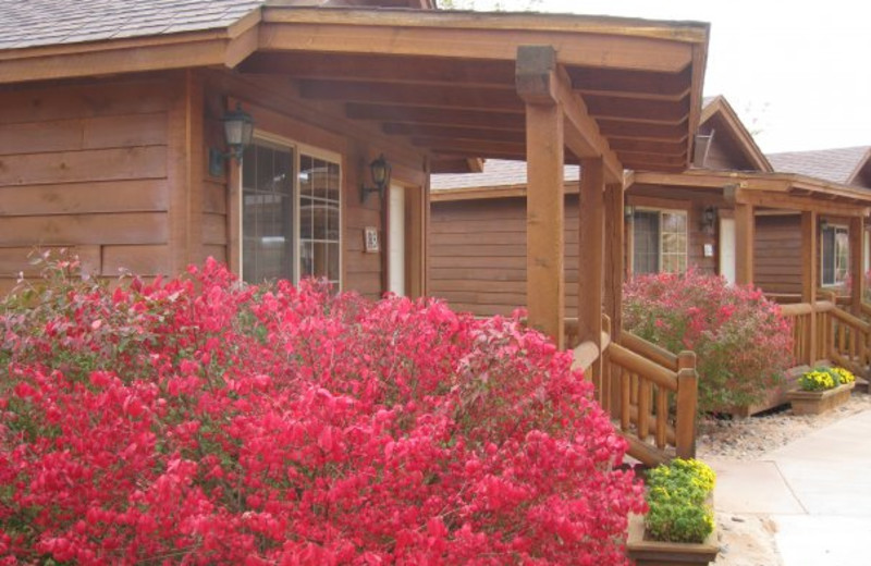 Cabin Exterior at Desert Rose Inn