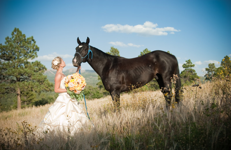 Weddings at Echo Basin Cabin And RV Resort.