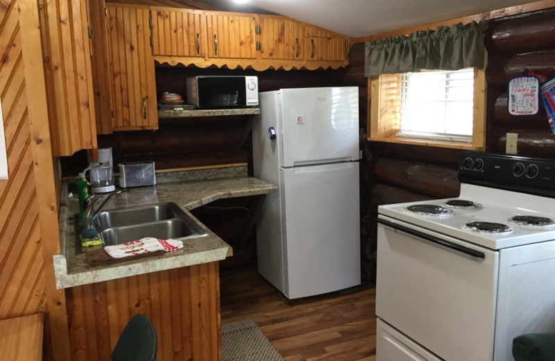 Cabin kitchen at Blackduck Lodge & Resort.