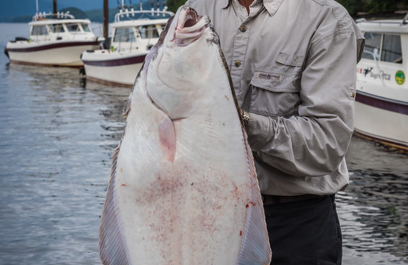 Halibut fishing at Salmon Falls Resort