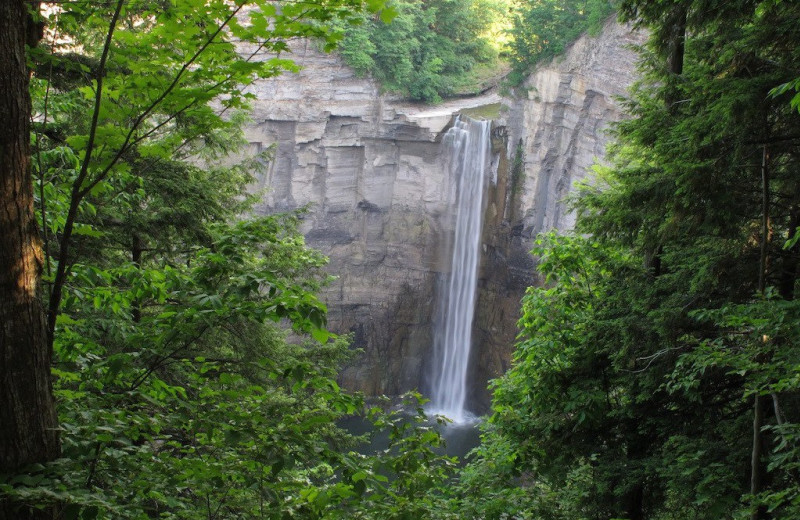 Waterfall near Juniper Hill B&B.