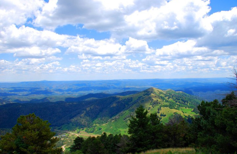 Scenic view at Hummingbird Cabins.