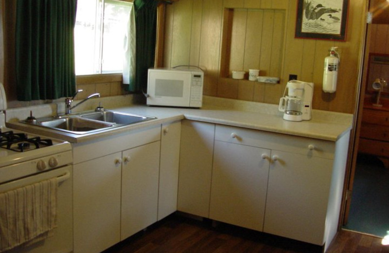 Cabin kitchen at Pipestone Point Resort.