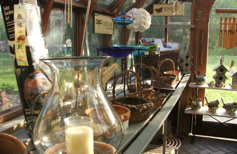 The Potting Shed at The Settlers Inn
