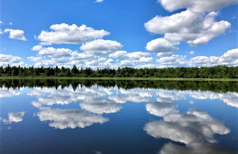 Lake view at Northernaire Resort.